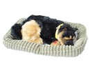 Maskotka Śpiący pies na poduszce - Wilczur