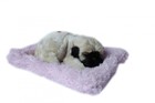 Śpiący piesek na poduszce - Mops