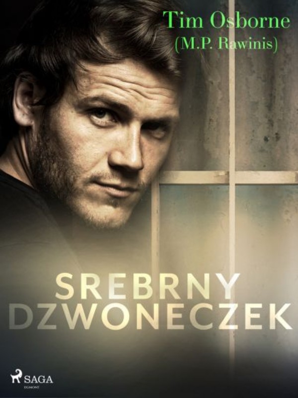 Srebrny dzwoneczek - mobi, epub