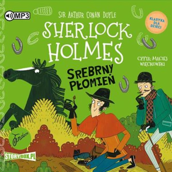 Srebrny Płomień Audiobook CD Audio Klasyka dla dzieci Sherlock Holmes Tom 16