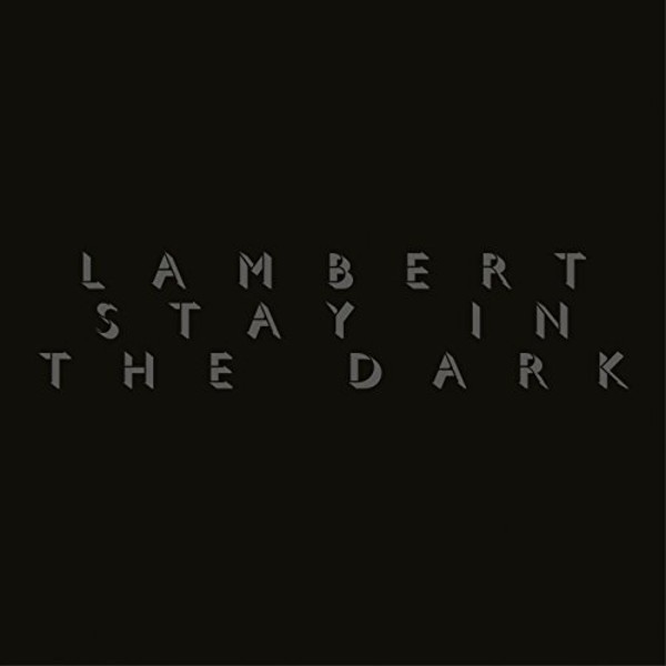 Stay In The Dark (vinyl)