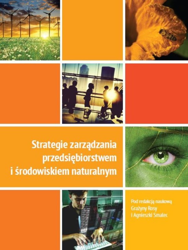 Strategie zarządzania przedsiębiorstwem i środowiskiem naturalnym