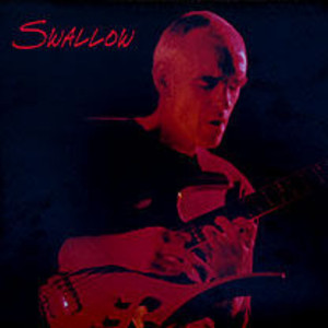 Swallow (vinyl)