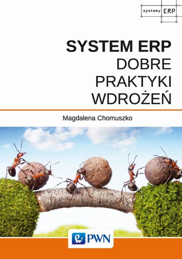 System ERP - Dobre praktyki wdrożeń - mobi, epub