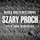 Szary proch - Audiobook mp3