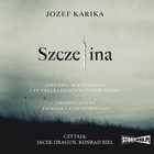 Szczelina - Audiobook mp3