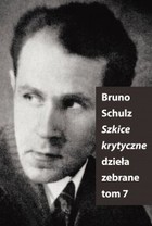 Szkice krytyczne (Dzieła zebrane, t. 7) - mobi, epub