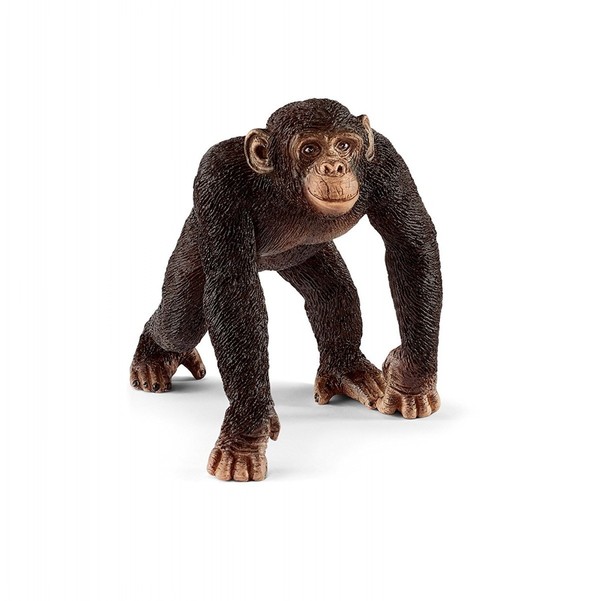 Figurka Szympans samiec 14817