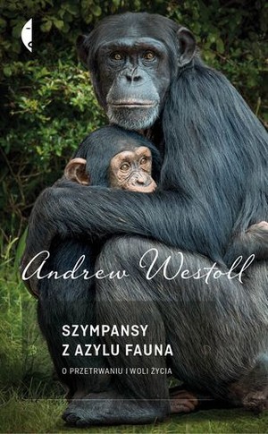 Szympansy z azylu Fauna O przetrwaniu i woli życia