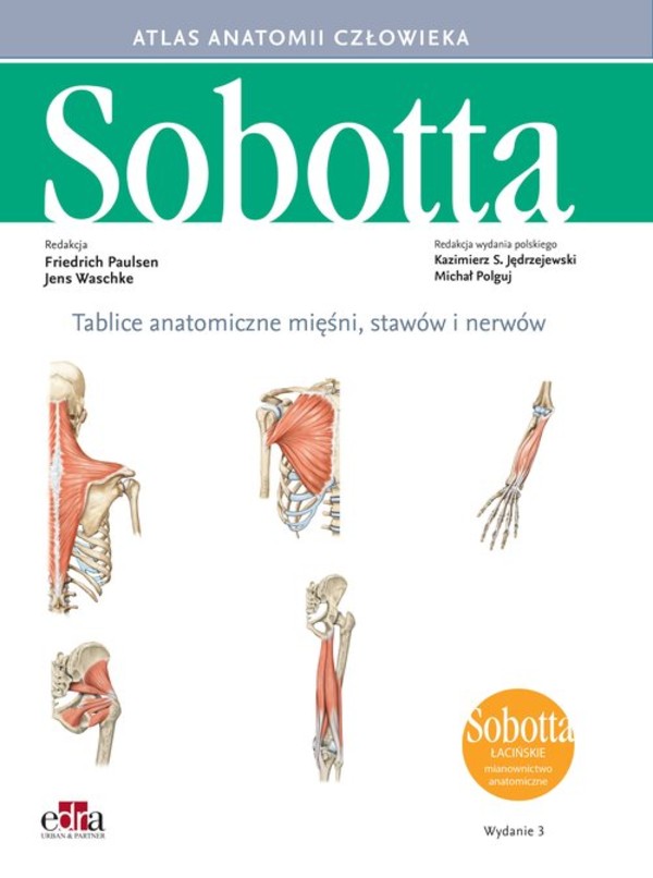Atlas anatomii człowieka Sobotta Tablice anatomiczne mięśni, stawów i nerwów. Łacińskie mianownictwo