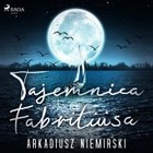 Tajemnica Fabritiusa - Audiobook mp3