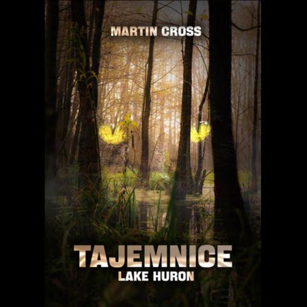 Tajemnice Lake Huron - Audiobook mp3