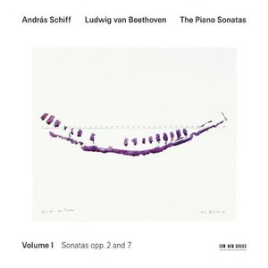 The Piano Sonatas Vol. 1