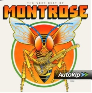 The Very Best Of Montrose