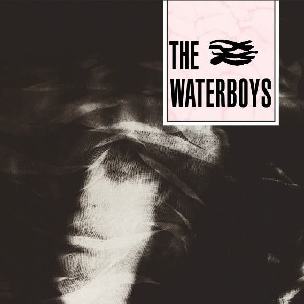 The Waterboys