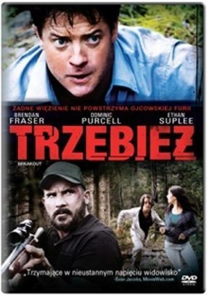 Trzebież