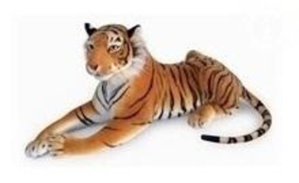 Tygrys brązowy 60 cm