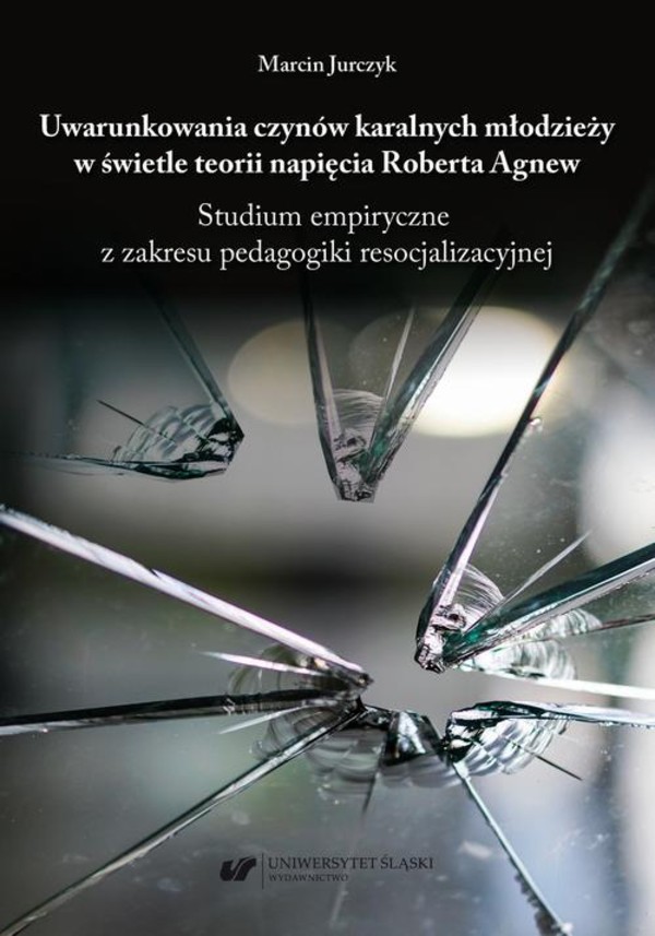 Uwarunkowania czynów karalnych młodzieży w świetle teorii napięcia Roberta Agnew. Studium empiryczne z zakresu pedagogiki resocjalizacyjnej - pdf