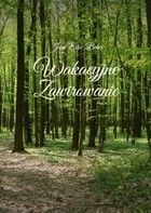 Wakacyjne Zawirowanie - mobi, epub