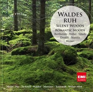 Waldesruh / Silent Woods: Romantic Moods