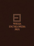 Wielka Encyklopedia PWN T.28