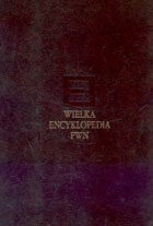 Wielka encyklopedia PWN T.31 - Suplement+CD