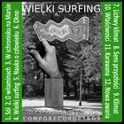 Wielki surfing - Audiobook mp3