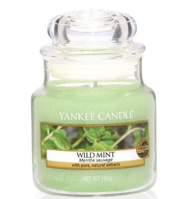 Wild Mint Mała świeczka zapachowa