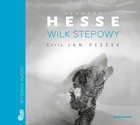 Wilk stepowy - Audiobook mp3