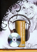 Władca Skalnej Doliny Audiobook CD Audio