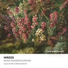 Wrzos - Audiobook mp3
