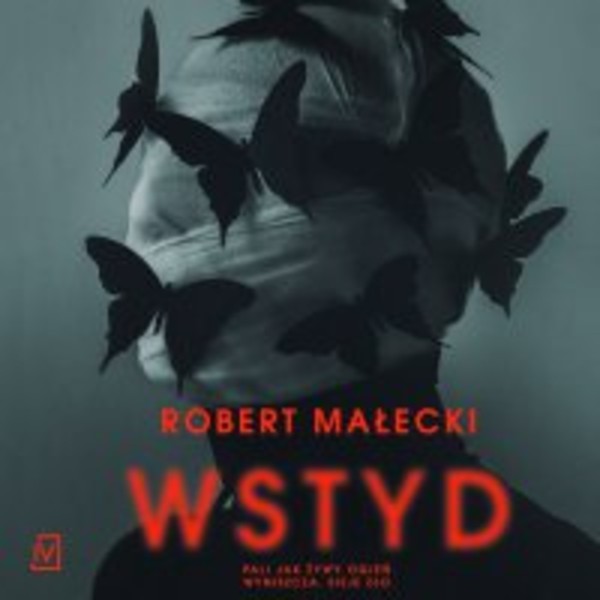 Wstyd - Audiobook mp3