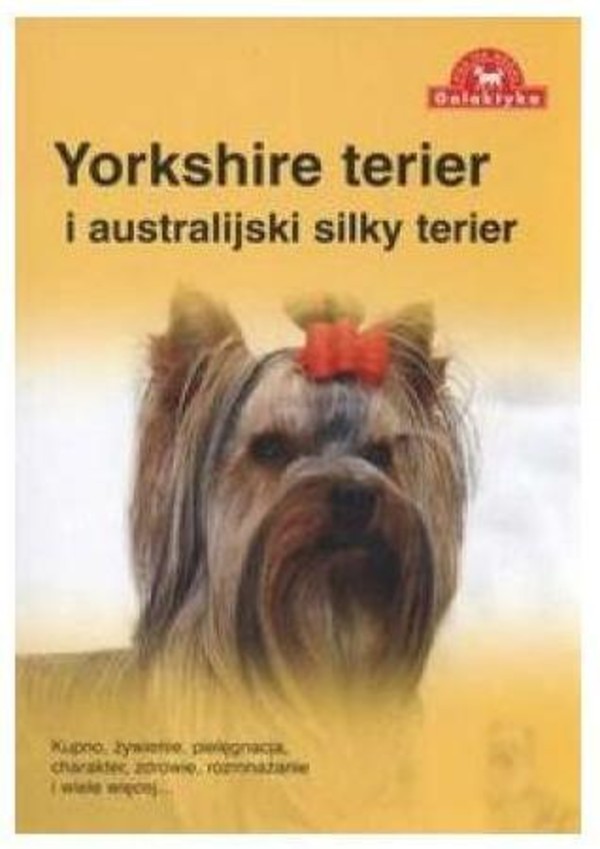 Yorkshire Terier i australijski Terier