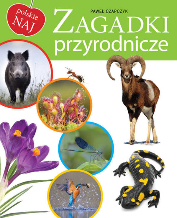 Zagadki przyrodnicze