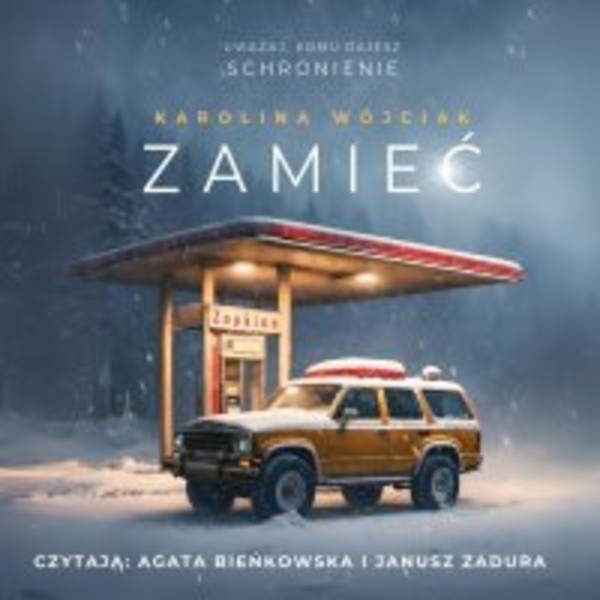 Zamieć - Audiobook mp3