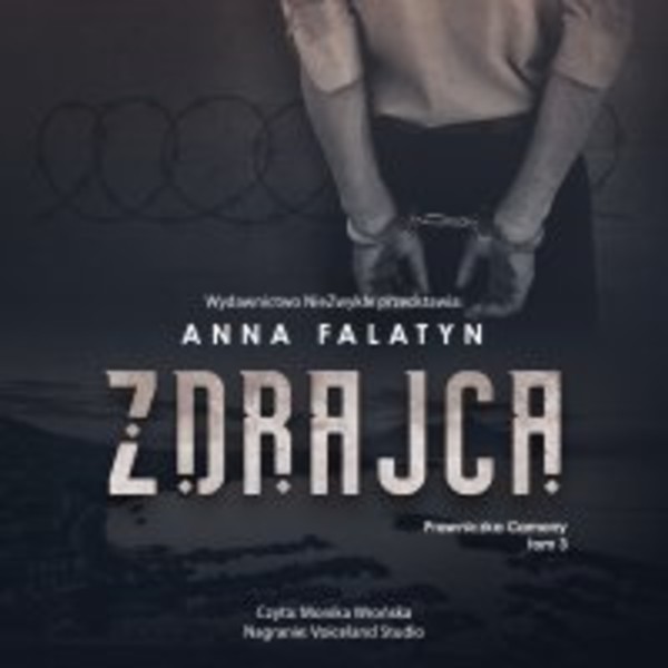 Zdrajca - Audiobook mp3