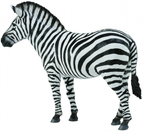 Figurka Zebra pospolita