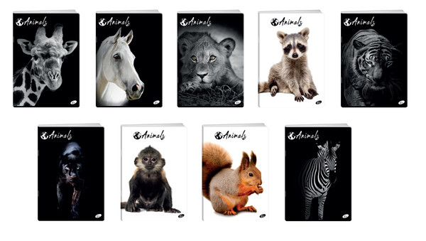 Zeszyt A4 60 kartek linia Animals 10 sztuk