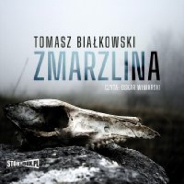 Zmarzlina - Audiobook mp3