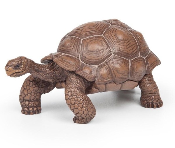 Figurka Żółw z Galapagos