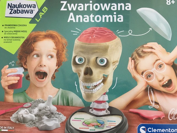 Zwariowana anatomia