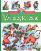 Zwierzęta leśne - Encyklopedia