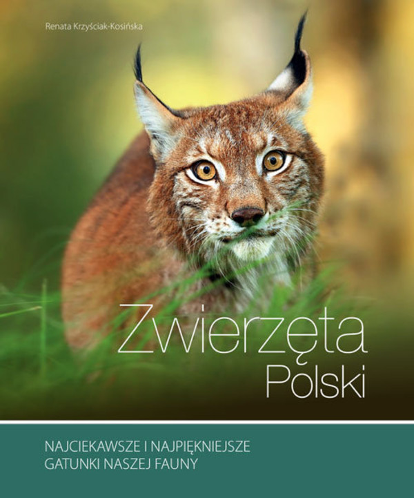 Zwierzęta Polski Flora i fauna Polski