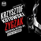 Zygzak - Audiobook mp3