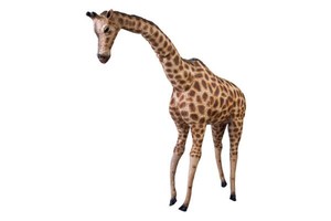 Żyrafa gigant 66cm